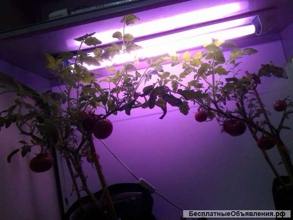 Светильник для растений и аквариумов