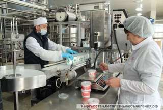 Технолог кондитерского и молочного направления