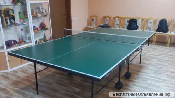 Всепогодный теннисный стол