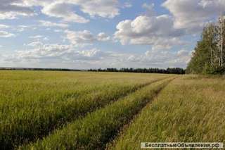 13 Га в Лабинском районе