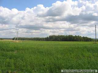 600 Га в Лабинском районе