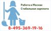 РФ РБ Украина Молдова работа для женщин