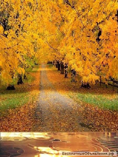 Ремонт и отделка Вашей квартиры или офиса