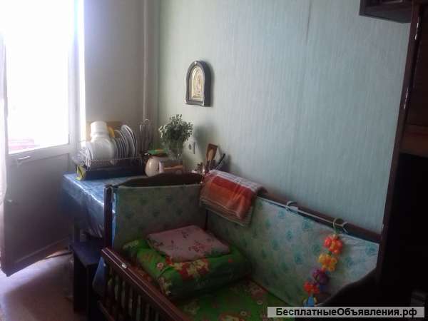 Комнату в Камышовой