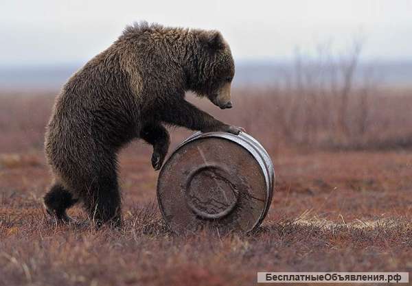 Услуги грузчиков круглосуточно РУССКИЙ МЕДВЕДЬ