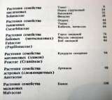 Овощные культуры - особенности и выращивание