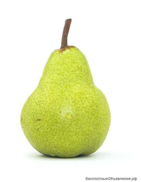 Поставки Свежих Фруктов из Латинской Америки