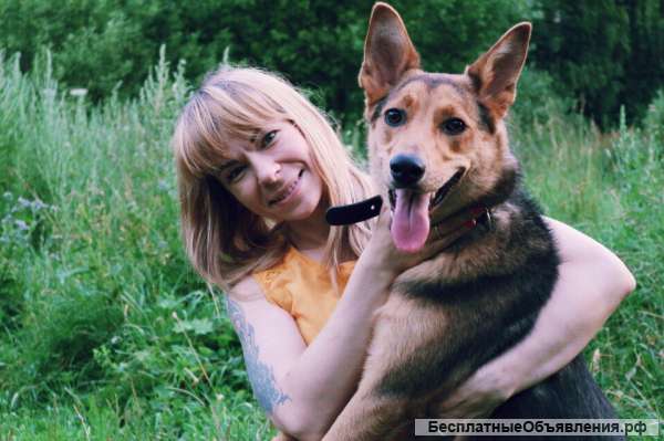 Передержка для животных