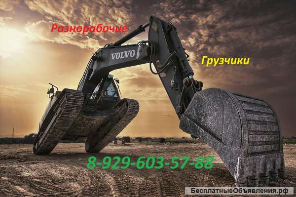 Разнорабочие-грузчики-подсобники