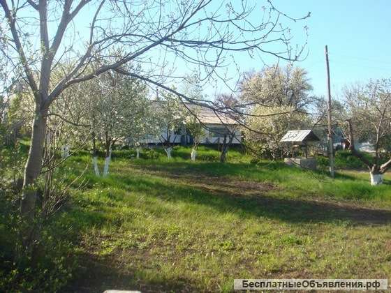 Дом с участком площадью 25 соток