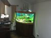 Обслуживание аквариумов в офисах и на дому