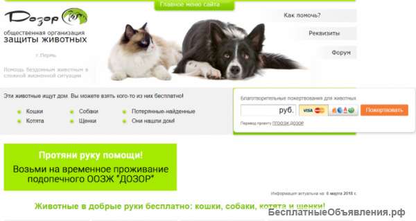 Пермская городская общественная организация защиты животных «Дозор»