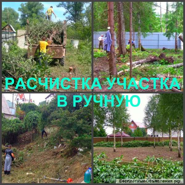 Расчистка участков. Мы расчистим ваш участок на совесть.