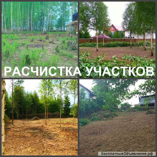 Расчистка участков. Мы расчистим ваш участок на совесть.