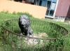 3-х комнатная квартира в центре Сочи