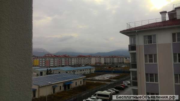 Квартиру