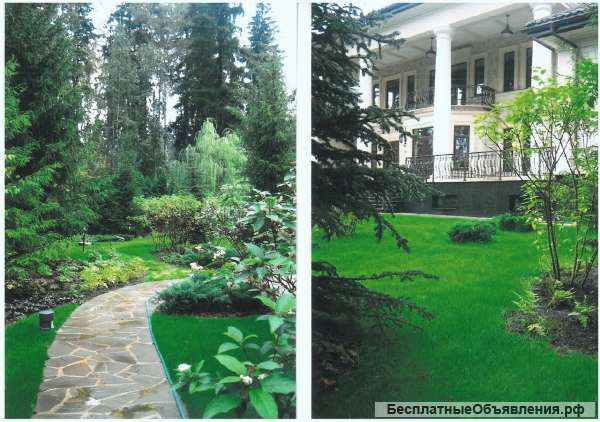 Садовник, ландшафтный архитектор
