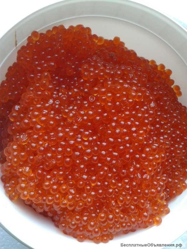 Икра Форели