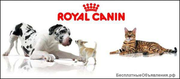 Royal Canin оптовые цены