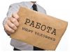 Счетчик-Ревизор