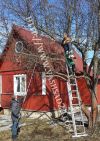 Обрезка плодовых деревьев и кустарников