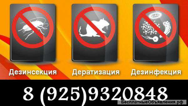 Уничтожение клопов