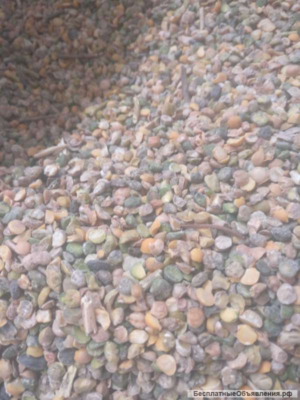 Отходы нута