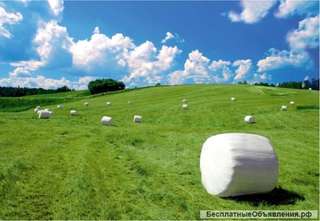 Сено и сенаж в рулонах многотравье