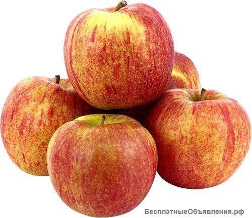 Фрукты и овощи из Македонии