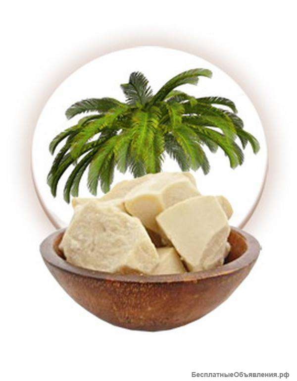 Масло Пальмовое дезодорированное отбеленное