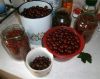 Огороженный садовый участок 6,6 соток