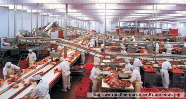 Работа в Германии на мясокомбинате