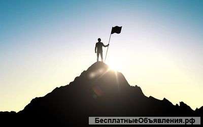 Экспорт импорт поиск дел контакт