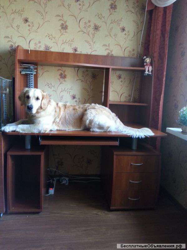 Офисный. Рабочий. Компьютерный стол
