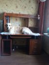 Офисный. Рабочий. Компьютерный стол