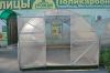 Теплицы от производителя