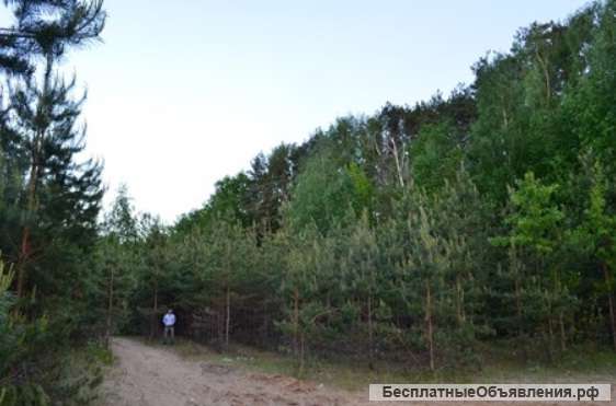 Земельный участок