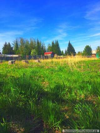 10 соток под дачу Рябинино