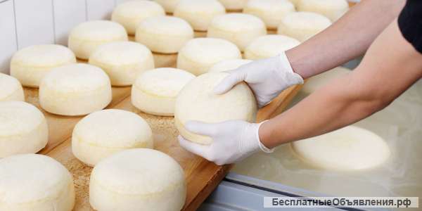 Производство сыра и хлебобулочных изделий