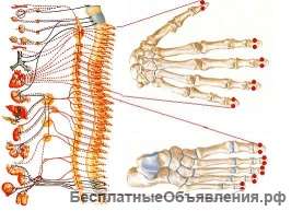 Комплексное обследование