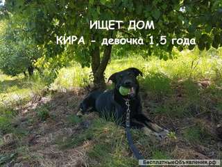 Кира - девочка 1,5 года