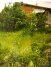 Продам участок 6 сот