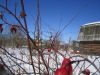 В Серпуховском районе близ деревни Якшино в СНТ "Родник" продается земельный участок площадью 7.4 со