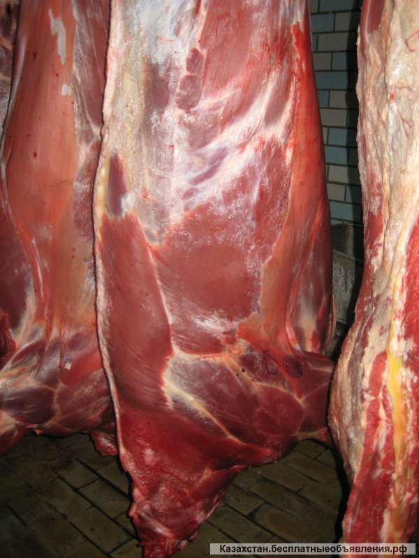 Говядина дешевле