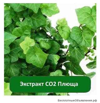 Плющ обыкновенный СО2 экстракт Экстракт Плюща