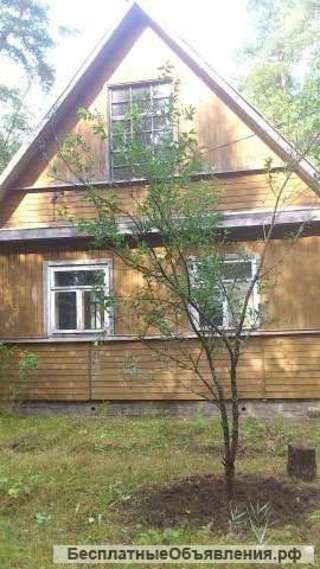 Дача в п. Орехово 60 км от СПб, Приозерское направление