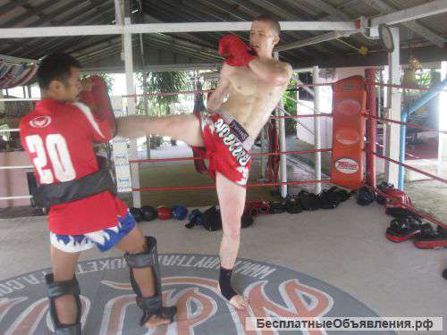 Тайский бокс, бокс. Клуб "Тотем"
