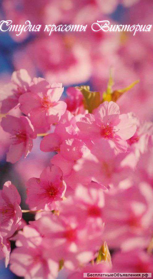 Студия Красоты "Виктория"