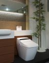 Электронная сантехника SensPa