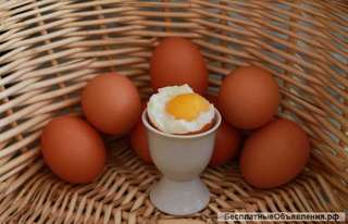 Яйцо куриное столовое и диетическое